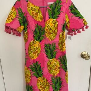Pink Pineapple Print Dress with Tassels